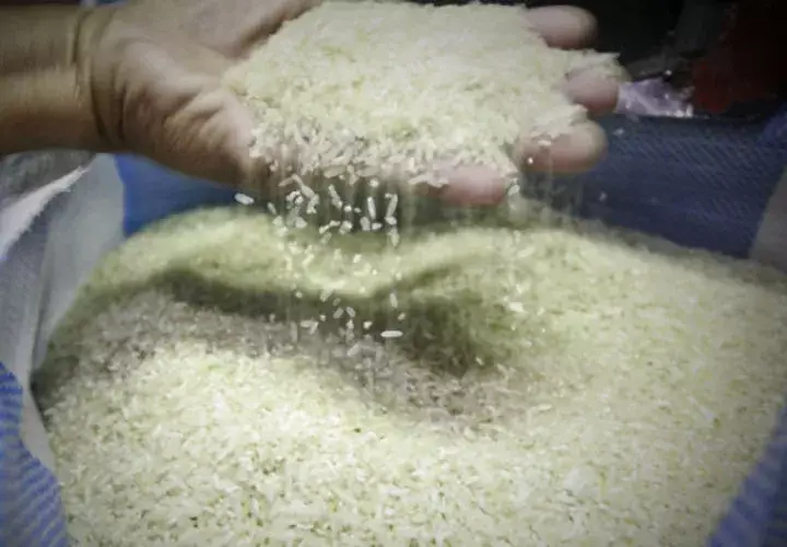 A Panamá entra más de un millón de quintales de arroz importado. Foto/Archivo