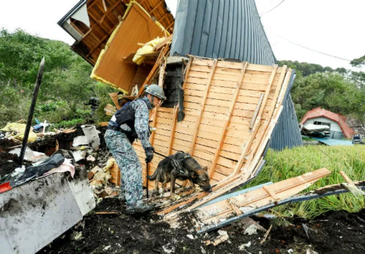 Un soldado de las Fuerzas de Autodefensa de Japón y su perro rastreador buscan desaparecidos entre los escombros de una casa destruida por el terremoto. Foto: EFE