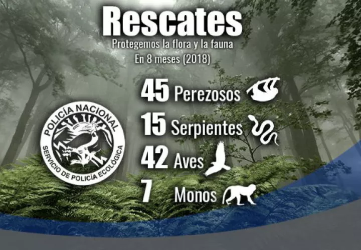 Estadísticas reportadas por la Policía Nacional.