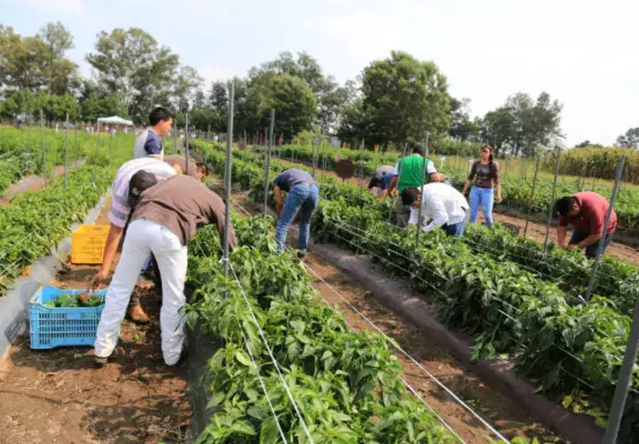 La bioeconomía representa una nueva y potente oportunidad