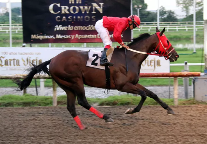 Promise To Power tiene una carrera difícil hoy.