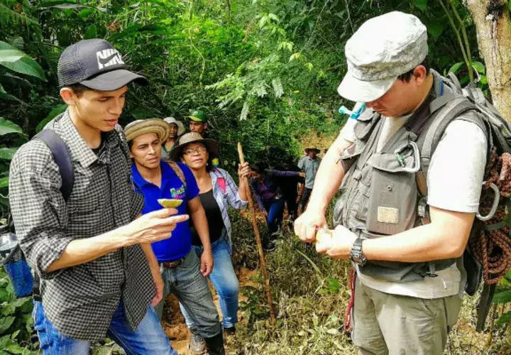 En Santa Fe de Veraguas, la ATP implementa el programa de Turismo Rural Comunitario. Foto/Cortesía