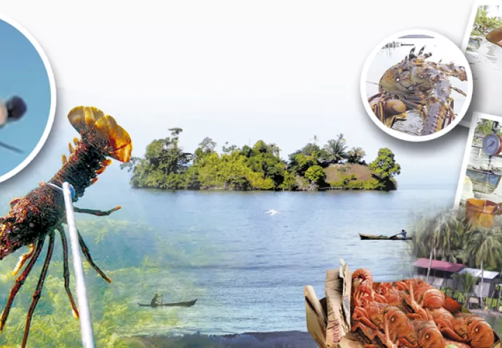 bocas_0.jpg