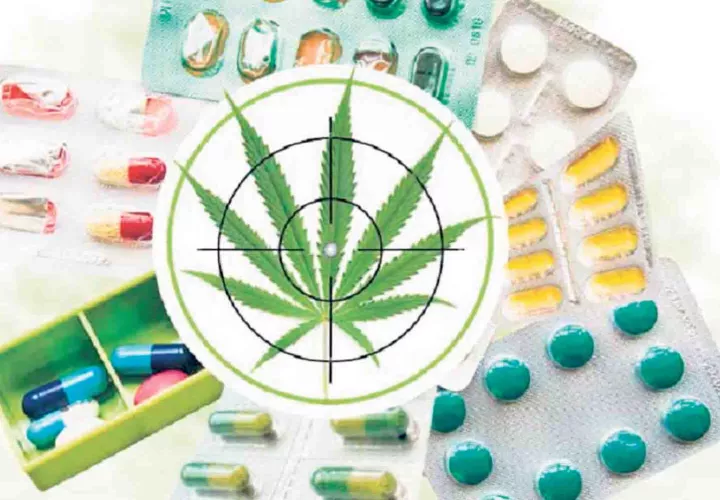 Nuevamente, su uso medicinal se encuentra en la Asamblea. Ilustración de Epasa