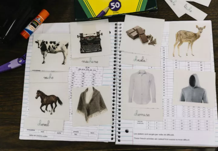 Alumnos de tercer grado de Alice Renard usan tarjetas didácticas para practicar sus habilidades con el francés. Foto/ William Widmer para The New York Times.