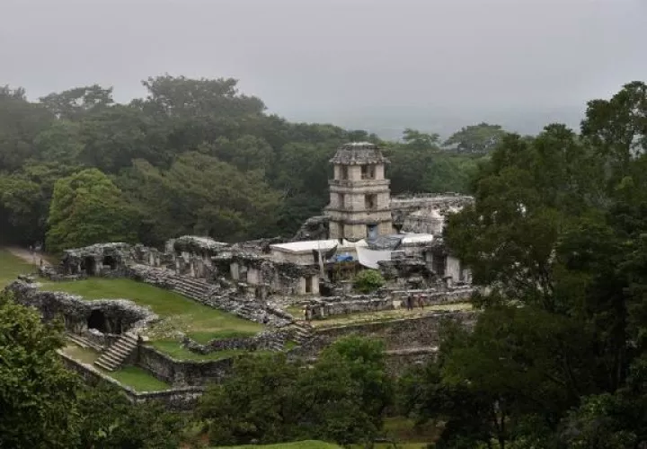 Google contribuye a divulgación de la cultura maya.