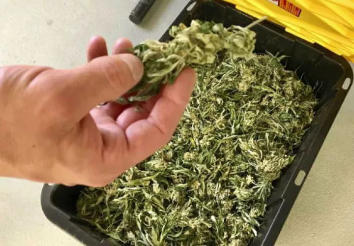 El funcionario tenía dos sobres con presunta marihuana dentro de su auto. Foto: Ilustrativa.