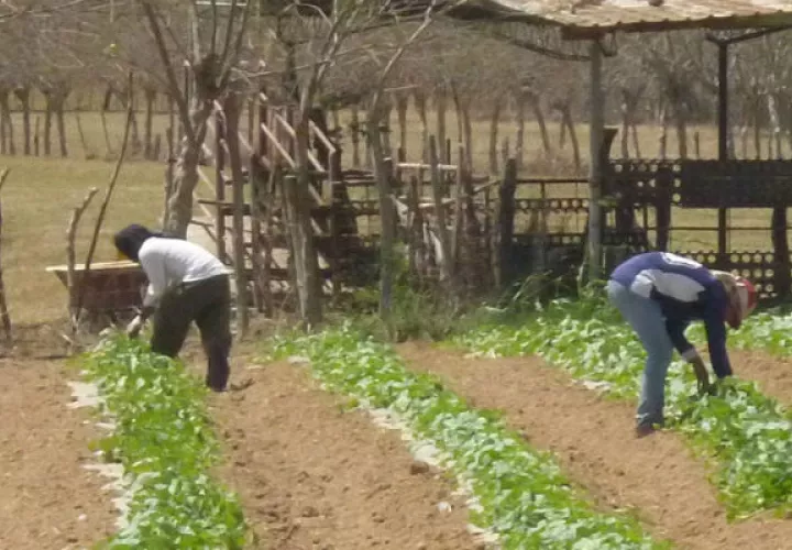 Implementarán un plan de desarrollo en el triángulo norte de Centroamérica.
