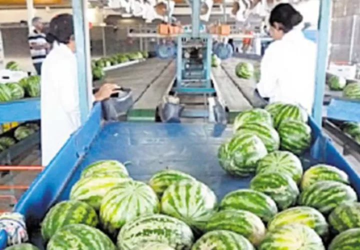 Exportadores tendrán información de interés para comercializar sus productos.