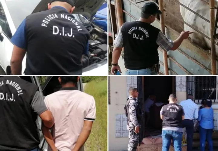La denuncia de hurto de reses fueron procesadas en Chiriquí, Los Santos y Herrera. Foto: Policía Nacional.