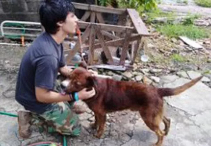 El perro era maltratado por su dueño, según denunciaron ciudadanos a través de las redes sociales.