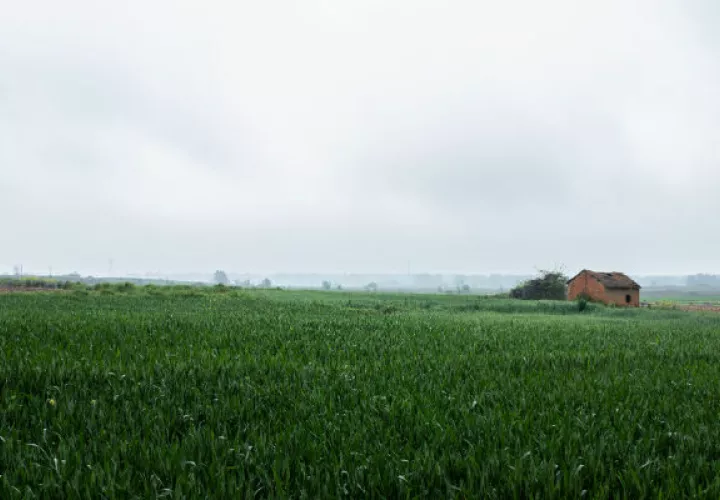La mitad de los habitantes de China vive en el campo, pero el Estado es dueño de la tierra. Foto/ Lam Yik Fei para The New York Times.