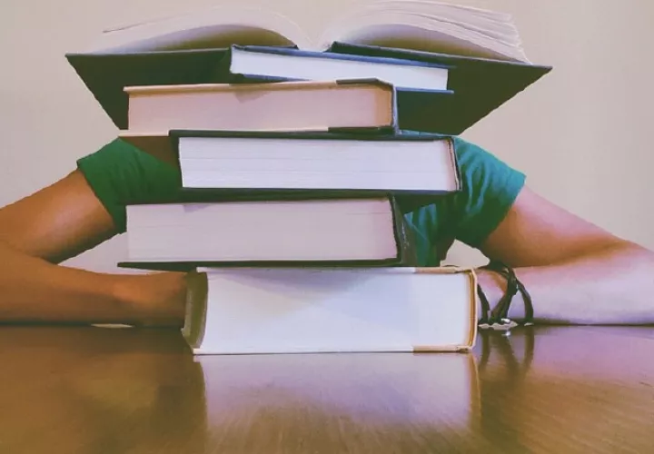 "No lograr responder todas las preguntas de las 'Pruebas de XYZ' no es sinónimo de 'perder el año'." Así opina el docente e innovador Javier González, creador del  método abcdespañol-el Juego de la lectoescritura. Foto: Pixabay