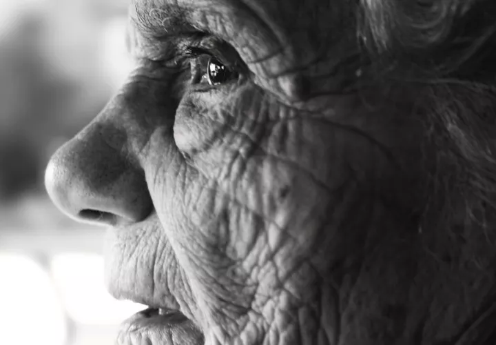 Neurocientíficos de Mayo Clinic adelantan estudios sobre el Alzheimer, que afecta mayormente a la población de adultos mayores. Foto: Pixabay.