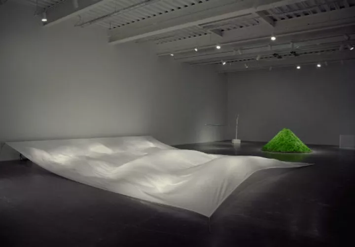 Las primeras obras de Hans Haacke evocan a la naturaleza. “Caudal Blanco Ancho” y “Crece la Hierba”. Foto/ Hans Haacke/Artists Rights Society (ARS), Nueva York; Vincent Tullo.