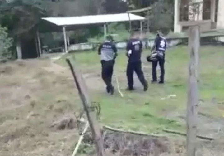 El hecho se registró en una finca en Soná.