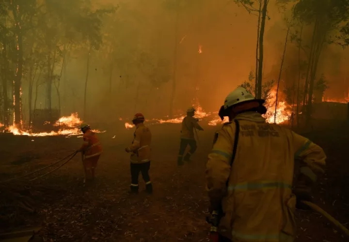 Los incendios forestales azotan a Australia desde el 1 de julio de este año.