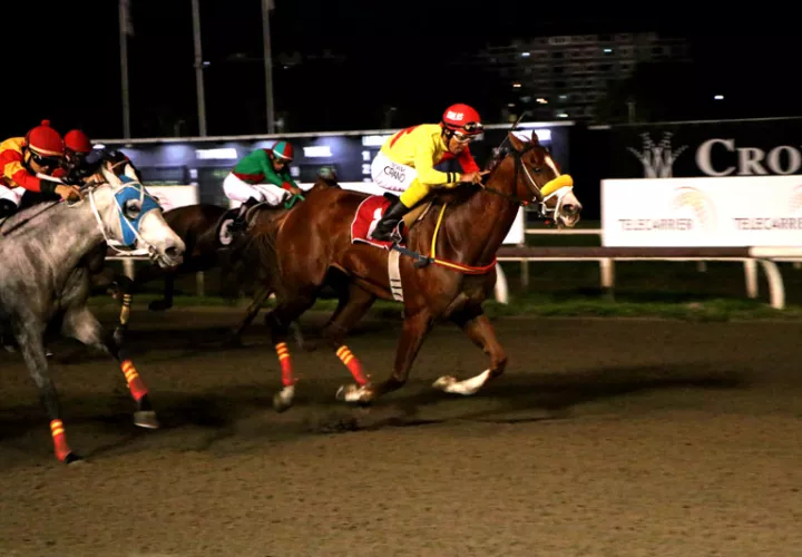 Babala tratará de ganar su tercera carrera seguida.