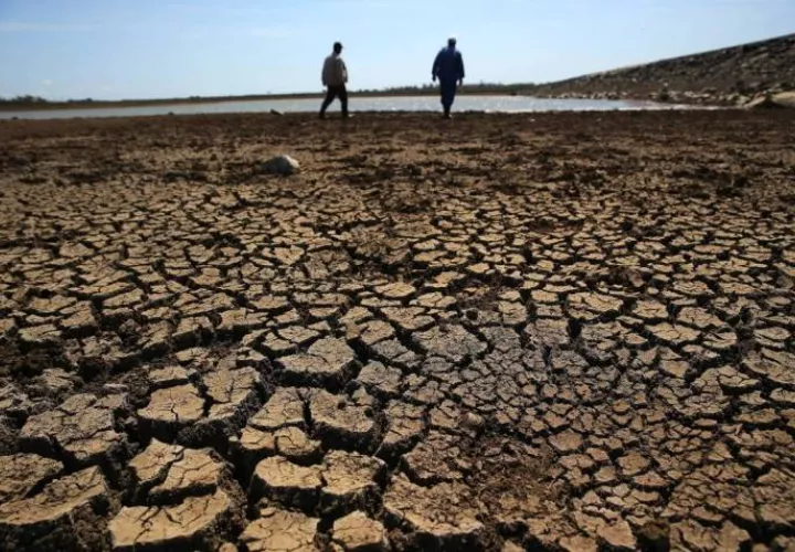 La estación seca producirá la desaparición de afluentes de agua dulce entre diciembre de 2019 y marzo de 2020. Foto: EFE.