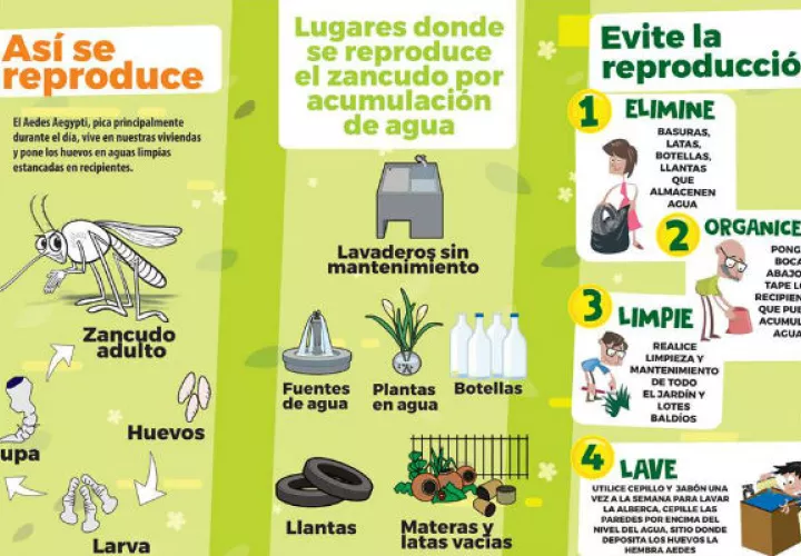 El Minsa instó a la población a acabar con los criaderos de los mosquitos aedes aegypti. Foto: Panamá América.
