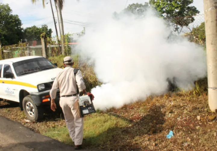 Evitar la proliferación de mosquitos depende de la población y las autoridades en un trabajo conjunto. Foto:Archivo/Ilustrativa.