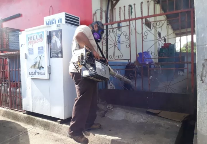 Se mantienen los trabajos de fumigación en la región. Foto/Thays Domínguez