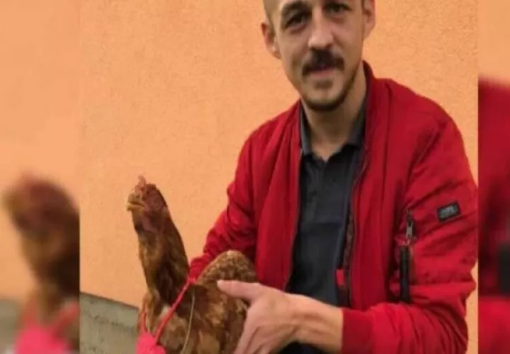Ivan Gazdek repuso la gallina que mató.