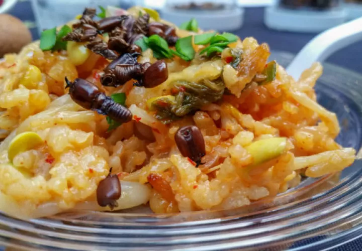 Arroz pilaf con termitas. Un reporte de la ONU señala que el mundo se beneficiaría con proteínas de bichos. Foto/ Justin Butner.