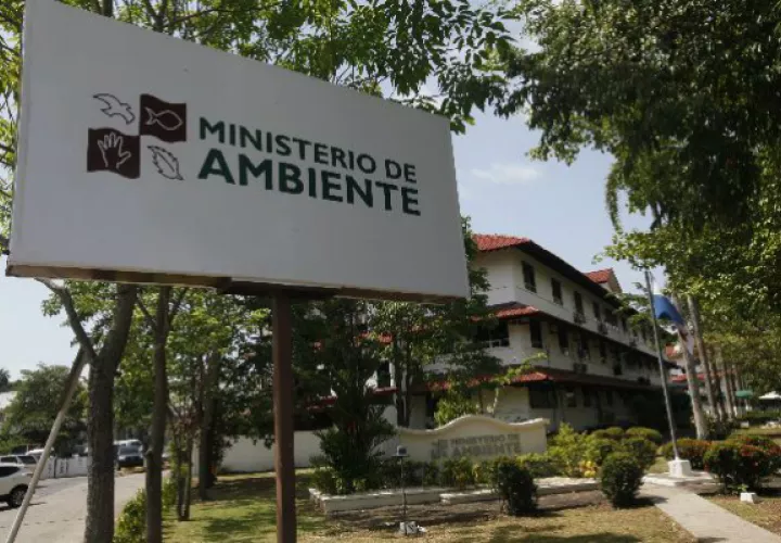 La educación primaria sería una de las principales fuentes de conocimiento./ Foto: Epasa