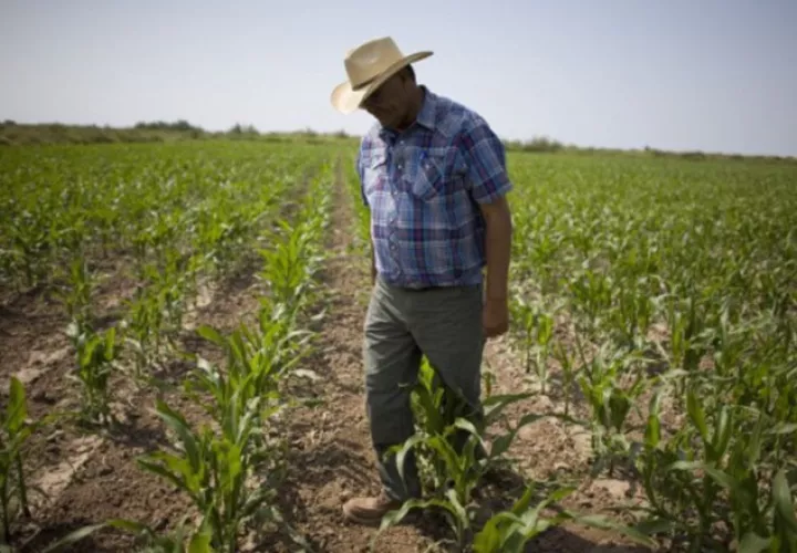 Los productores y comerciantes piden que el proyecto sea debatido con las partes involucradas.