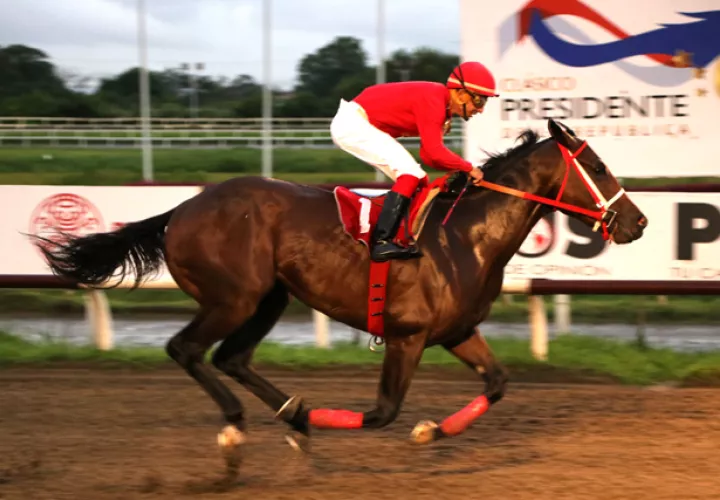  Van Daelen ganó cómodamente con Luis Arango.
