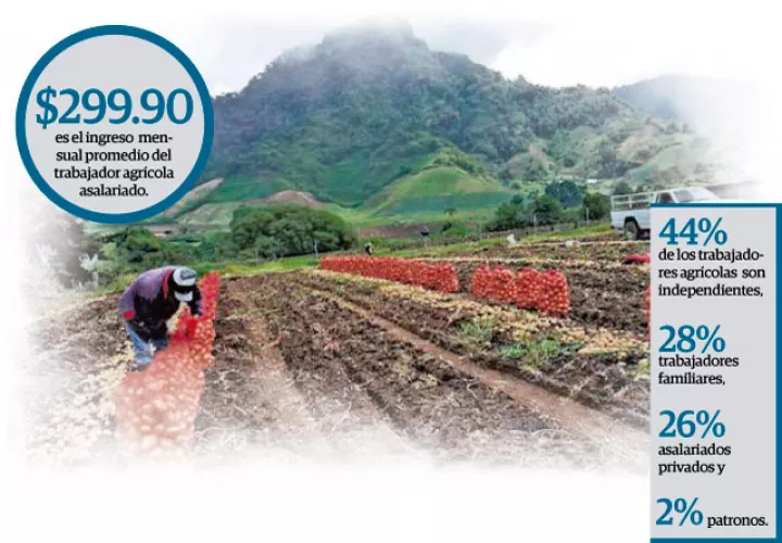 En el 2009 la fuerza laboral agrícola era de 188 mil 588 trabajadores.