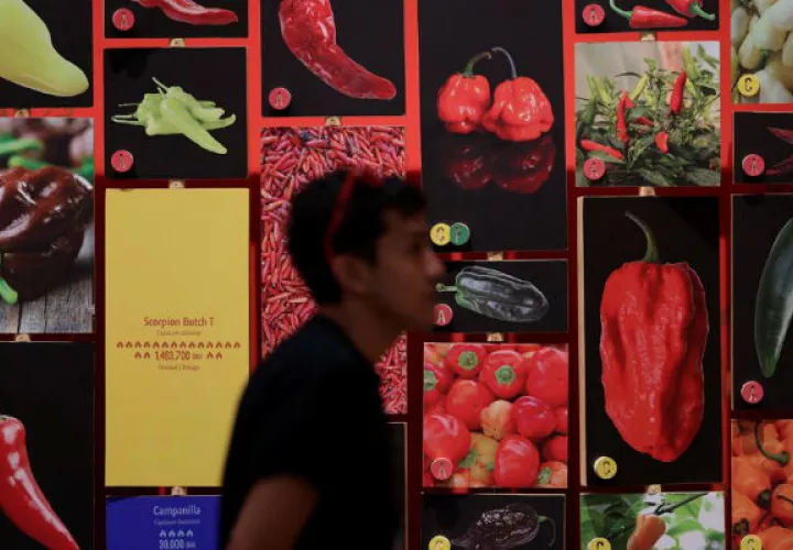 Exhibición Picante en el Biomuseo de Ciudad de Panamá. Foto/ EFE 