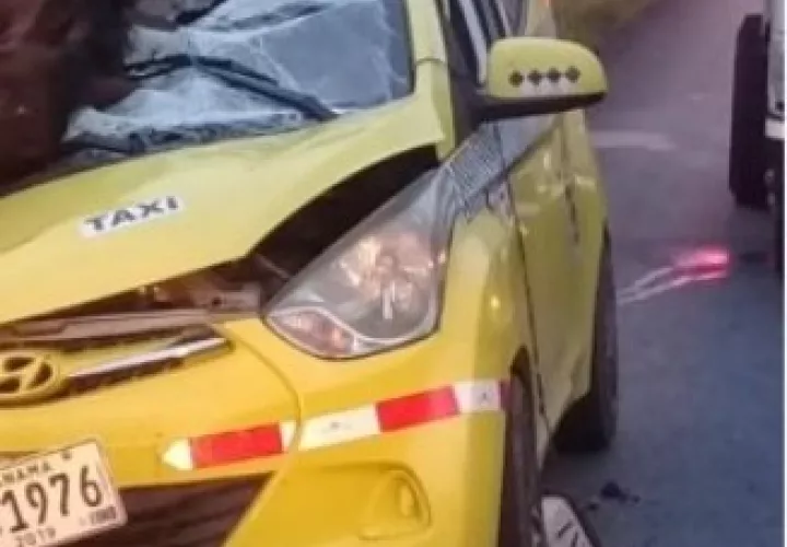 El conductor salió ileso del accidente donde el vehículo quedó prácticamente destruido por el equino. Foto/José vásquez