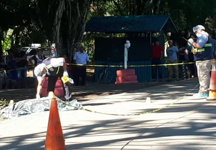 Colisionó con un vehículo articulado tipo mula en Finca Ceiba en el corregimiento de Manaca. Foto: Mayra Madrid. 
