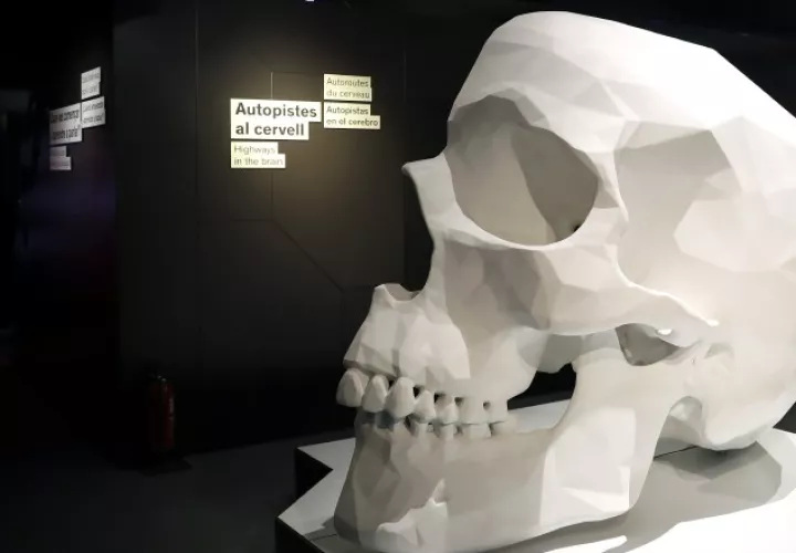 A White no le sorprende que el cientificismo considere al espíritu como una palabra prohibida.