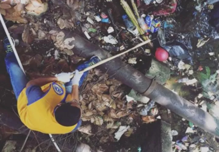 Es importante continuar con la formación de voluntarios.  Tomada de Instagram