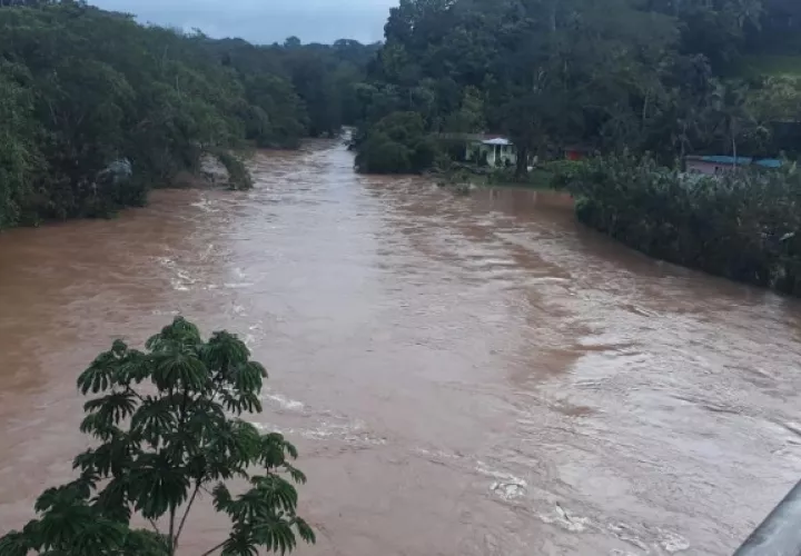 Mientras que el río Gatún en el área de la Transístmica, a consecuencia de las lluvias, se salió de su cauce.