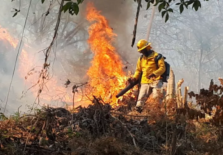 El castigo con cárcel por incendio forestal es de 1 a 3 años en Panamá. Foto/Archivos