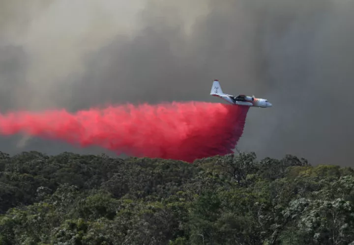 Al traslaparse las temporadas de incendios, preocupa que no haya suficientes aviones cisterna para combatir fuegos. Fotos/ Reuters.