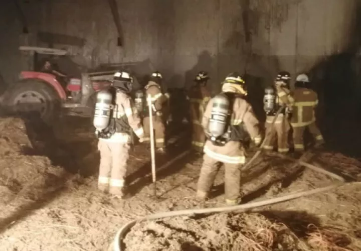 La rápida acción de los bomberos evitó que el incendio se propagara. Foto: Thays Domínguez.