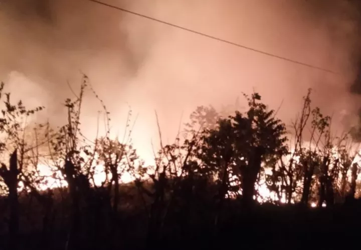 En el 2019 se perdieron en Panamá 74,890.04 hectáreas, producto de los incendios de masa vegetal.