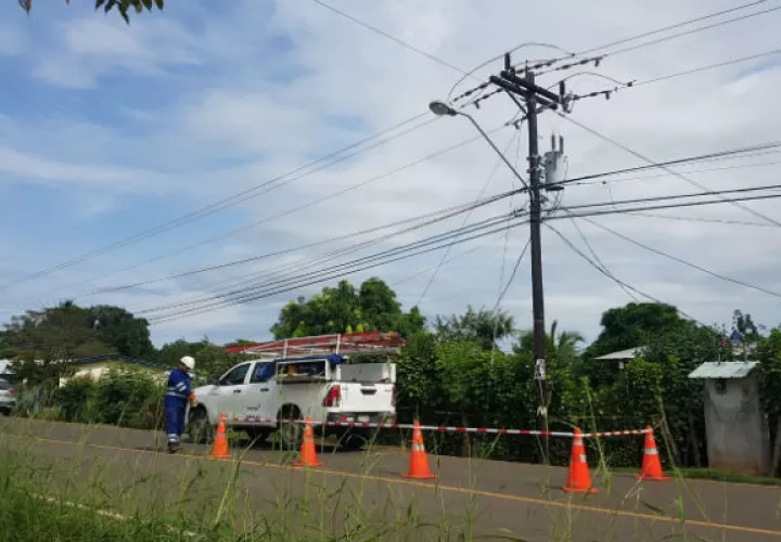 La yegua aparentemente hizo contacto con un cable que se bajaba del poste dentro del potrero. Foto: Thays Domínguez.