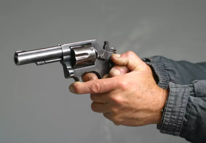 La veda de importación de armas de fuego viene desde hace nueve años.