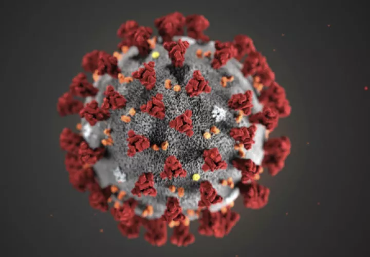 Imagen del coronavirus (2019-nCoV) surgido en la ciudad de Wuhan, China. Foto: AP.