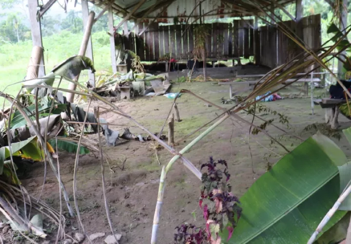 Los pastores de la secta 'La Nueva Luz de Dios' golpearon con palos y machetes a sus víctimas. Foto: Cortesía.