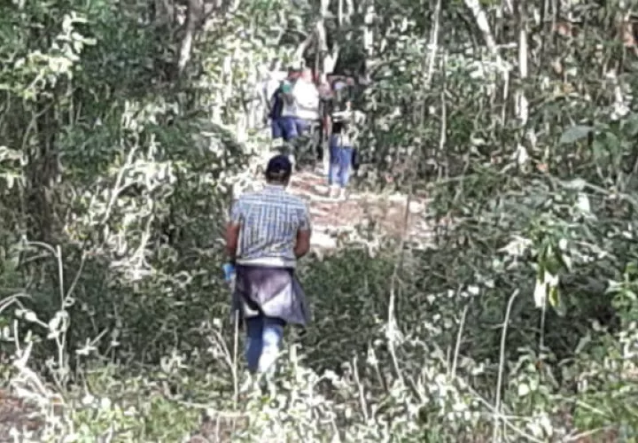 Los restos estaban en los predios de una finca. Foto: Eric A. Montenegro.