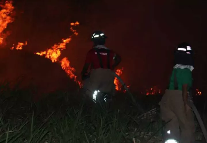 Los incendios se incrementan en la temporada seca.