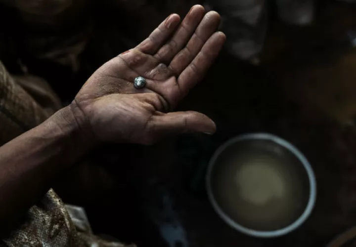 Los mineros ilegales usan mercurio para extraer oro de minerales, ignorando los peligros. Pepita de mercurio y oro. Foto / Adam Dean para The New York Times.