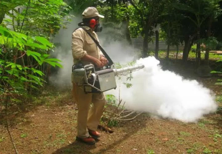 Se visten de fumigadores para ingresas a las residencias. Foto: Mayra Madrid. 